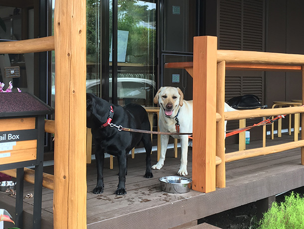 キッチンシェンは軽井沢で犬連れＯＫの中華料理店
